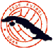 Sociacion de Futbol de Cuba, футбольний клуб, футбол, історія, гравці клубу, відомості, логотип, статистика, досягнення